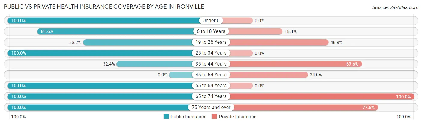 Public vs Private Health Insurance Coverage by Age in Ironville