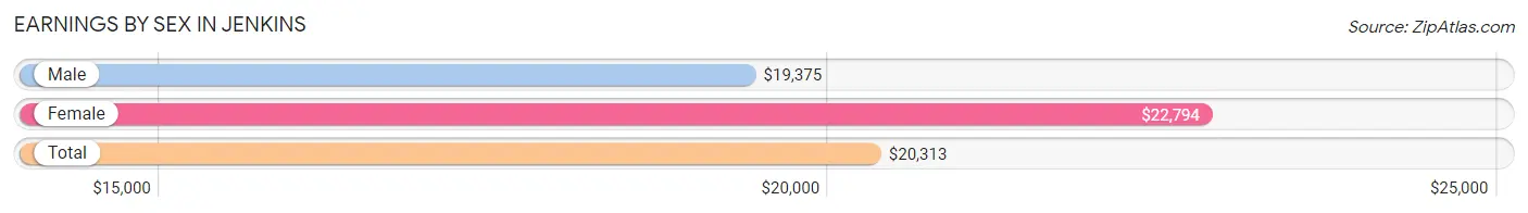 Earnings by Sex in Jenkins