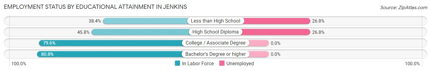 Employment Status by Educational Attainment in Jenkins