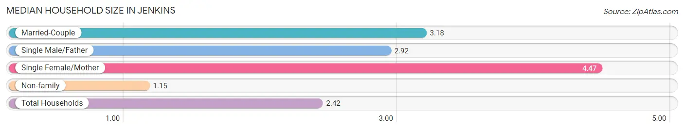 Median Household Size in Jenkins