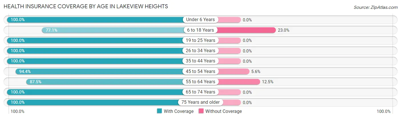 Health Insurance Coverage by Age in Lakeview Heights