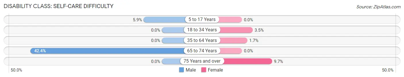 Disability in Lancaster: <span>Self-Care Difficulty</span>