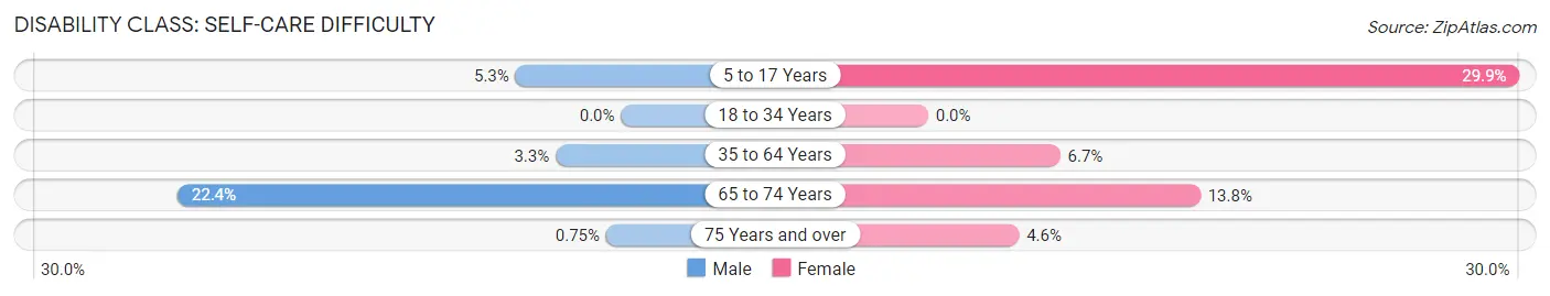 Disability in Lebanon: <span>Self-Care Difficulty</span>