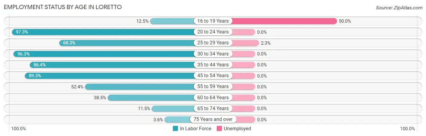 Employment Status by Age in Loretto