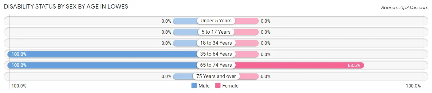 Disability Status by Sex by Age in Lowes