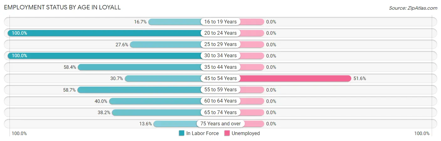Employment Status by Age in Loyall