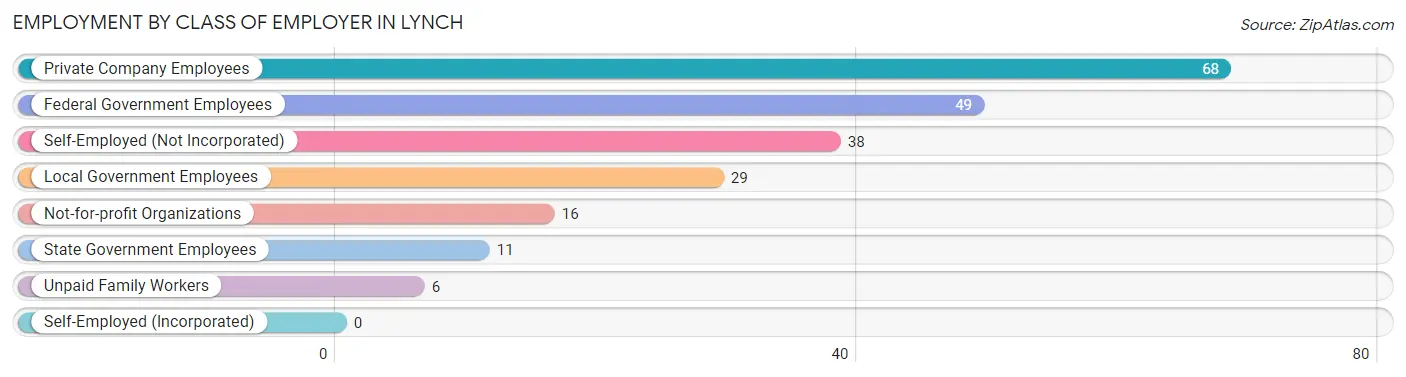 Employment by Class of Employer in Lynch