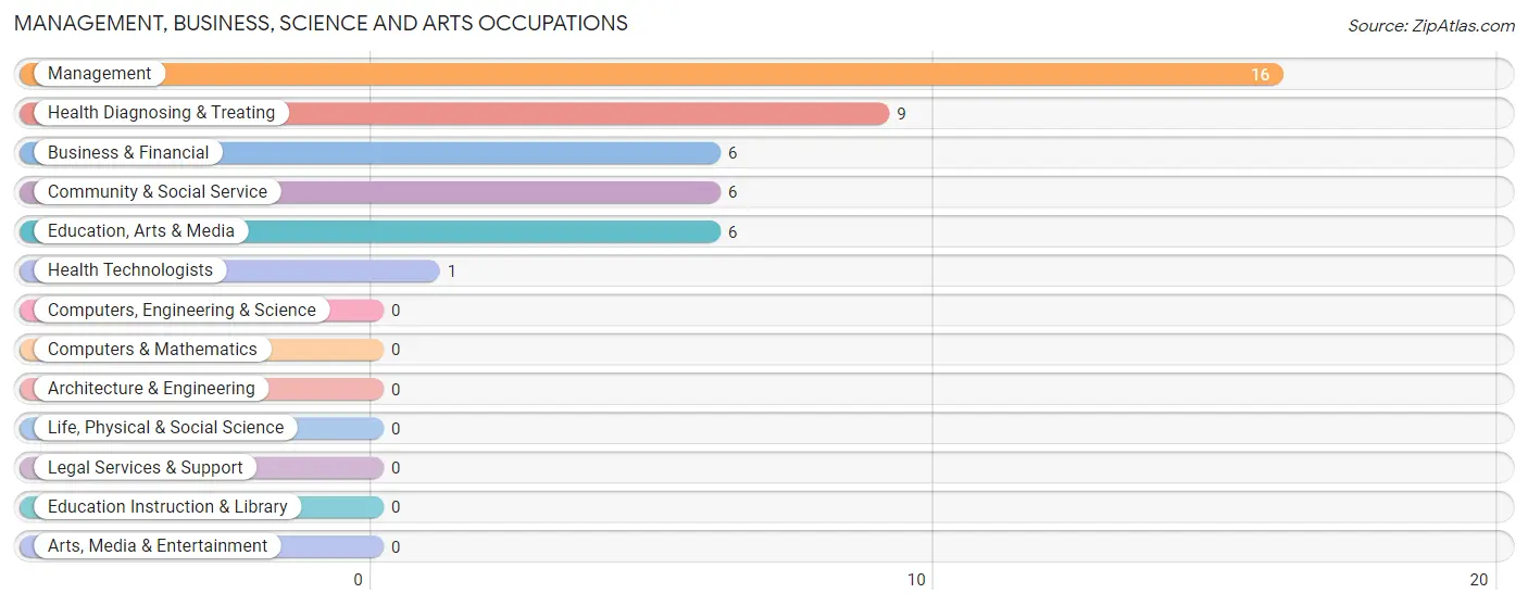 Management, Business, Science and Arts Occupations in Maceo