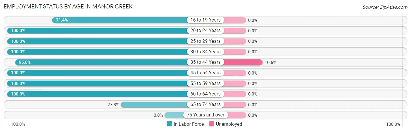 Employment Status by Age in Manor Creek