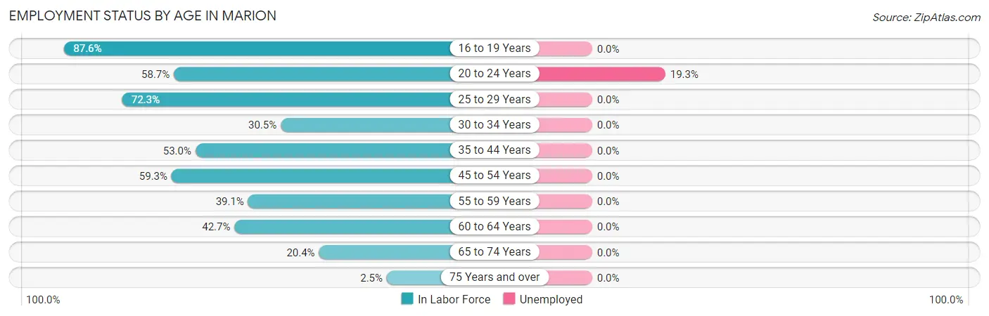 Employment Status by Age in Marion