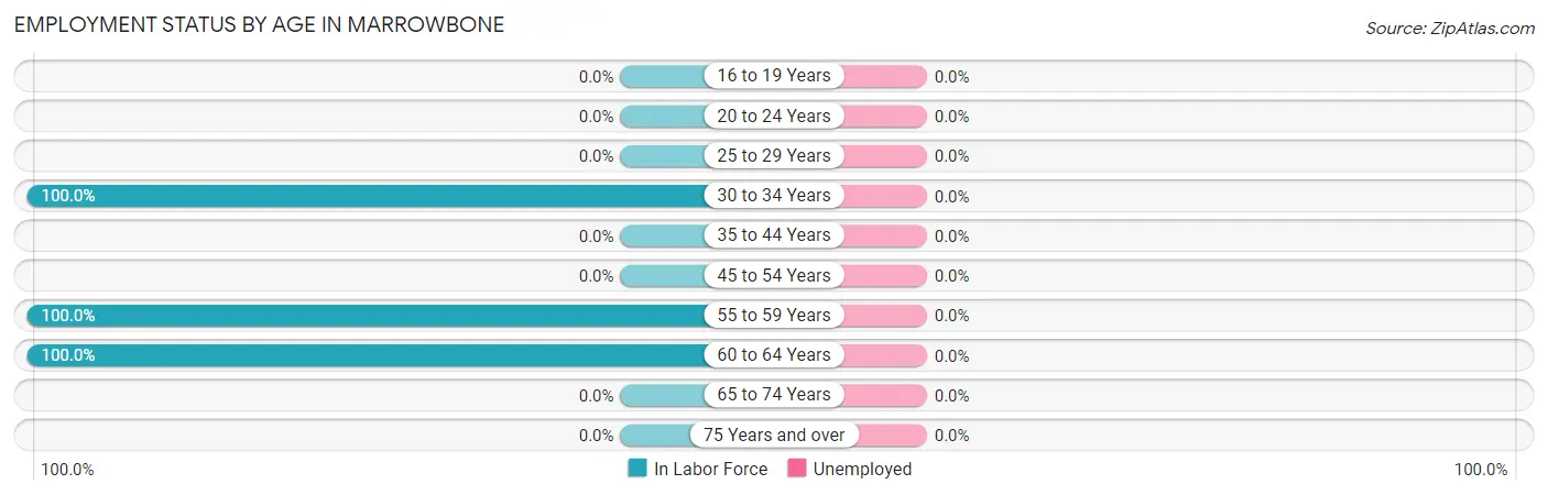 Employment Status by Age in Marrowbone