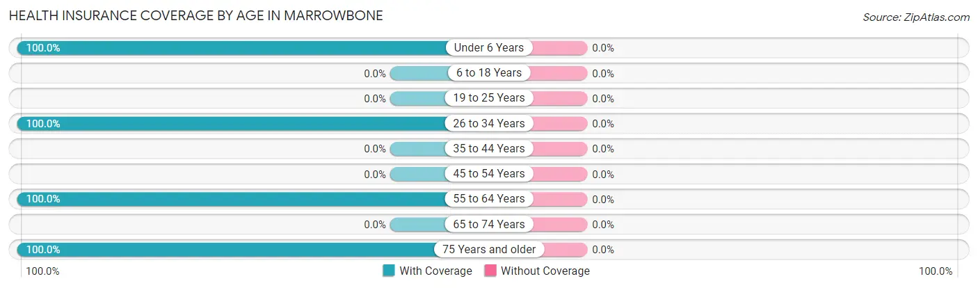 Health Insurance Coverage by Age in Marrowbone