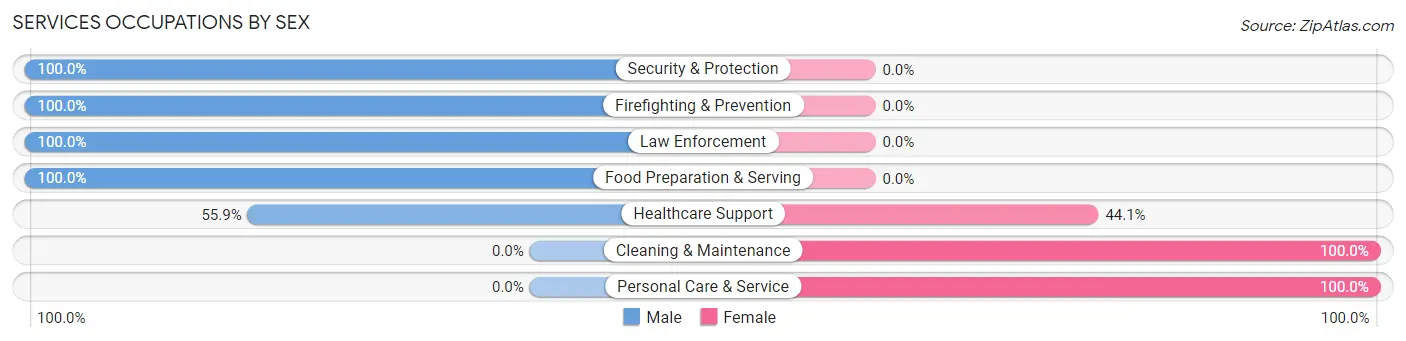 Services Occupations by Sex in Massac