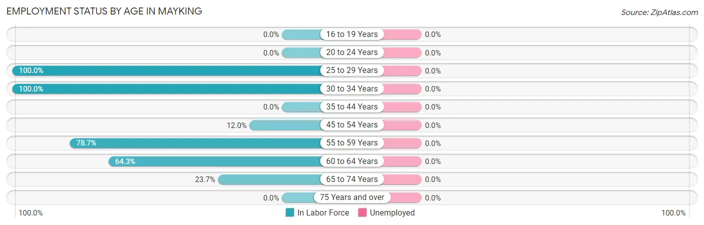 Employment Status by Age in Mayking