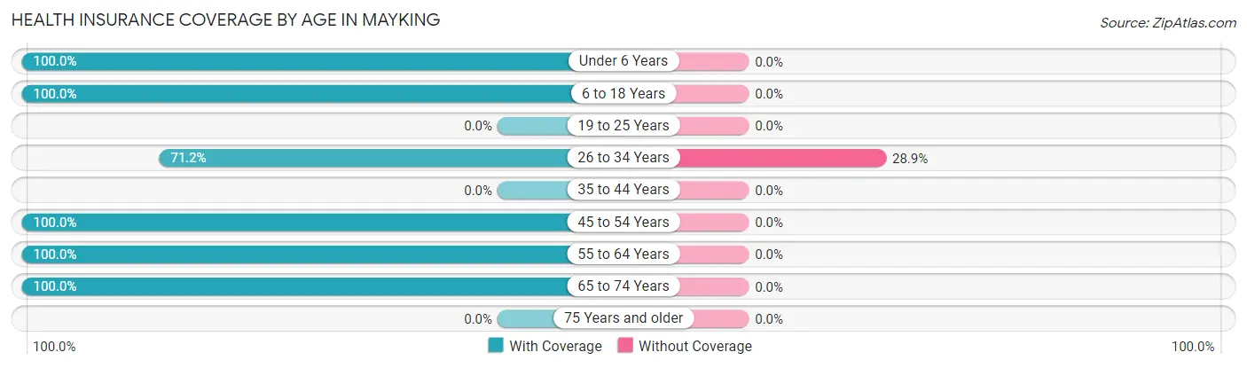 Health Insurance Coverage by Age in Mayking