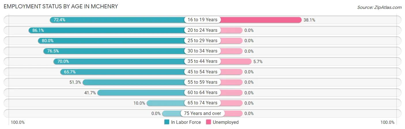 Employment Status by Age in McHenry