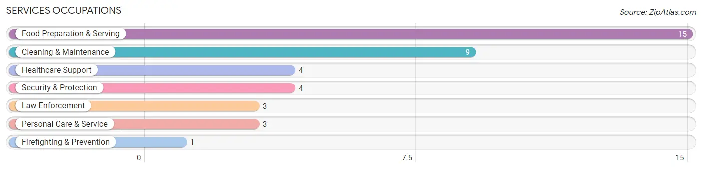 Services Occupations in McHenry