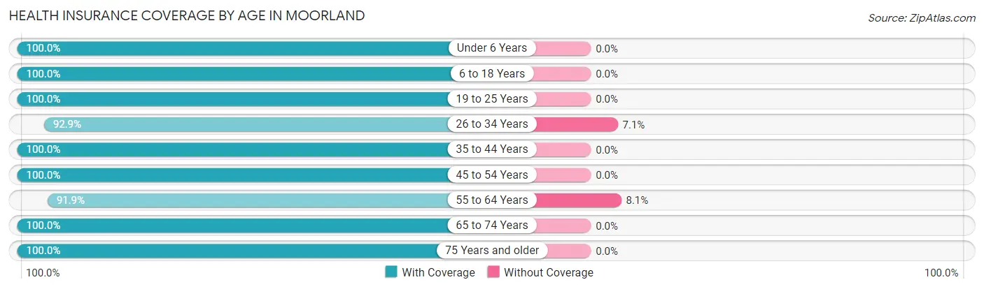 Health Insurance Coverage by Age in Moorland