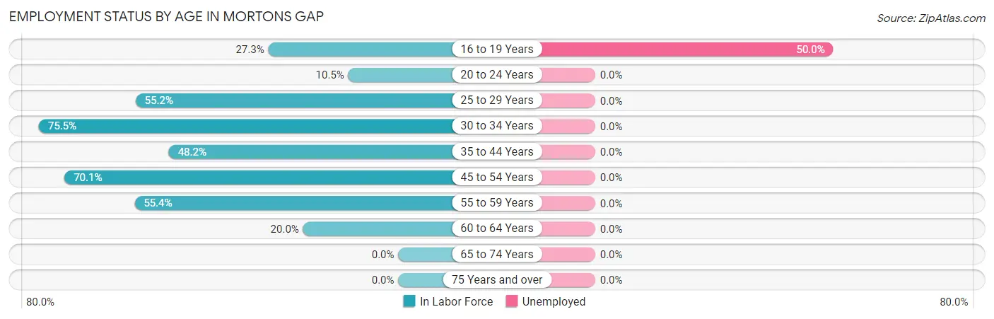 Employment Status by Age in Mortons Gap