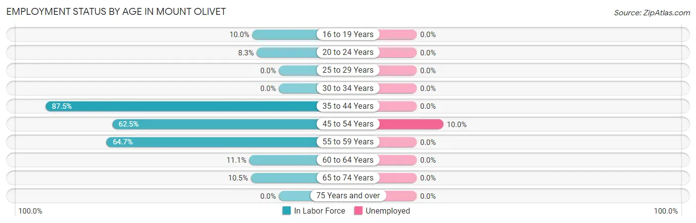 Employment Status by Age in Mount Olivet