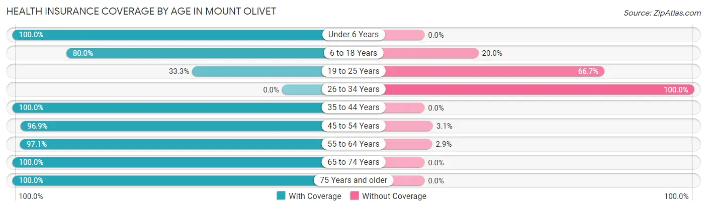 Health Insurance Coverage by Age in Mount Olivet