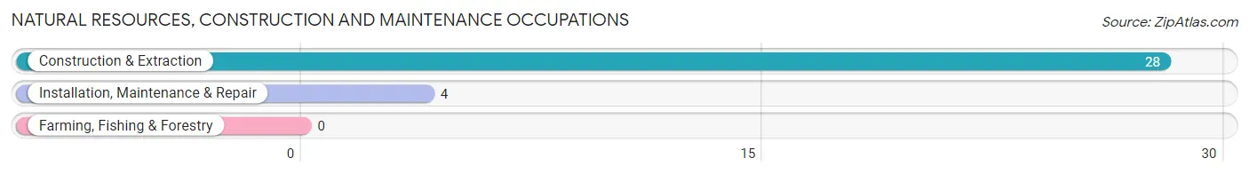 Natural Resources, Construction and Maintenance Occupations in New Castle