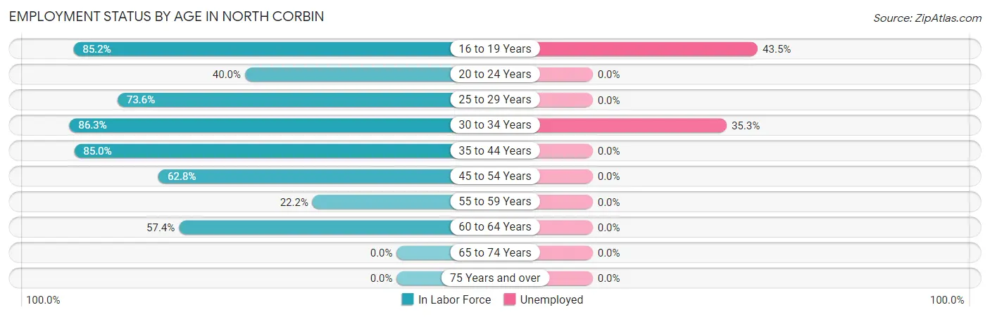 Employment Status by Age in North Corbin
