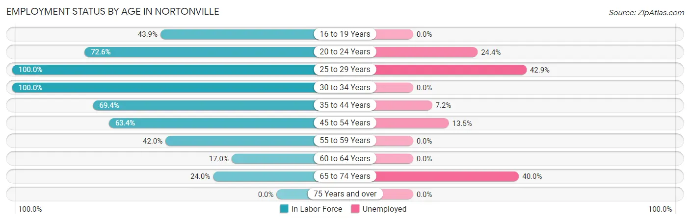 Employment Status by Age in Nortonville