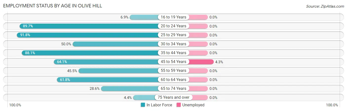Employment Status by Age in Olive Hill