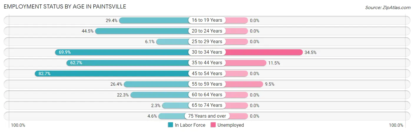 Employment Status by Age in Paintsville