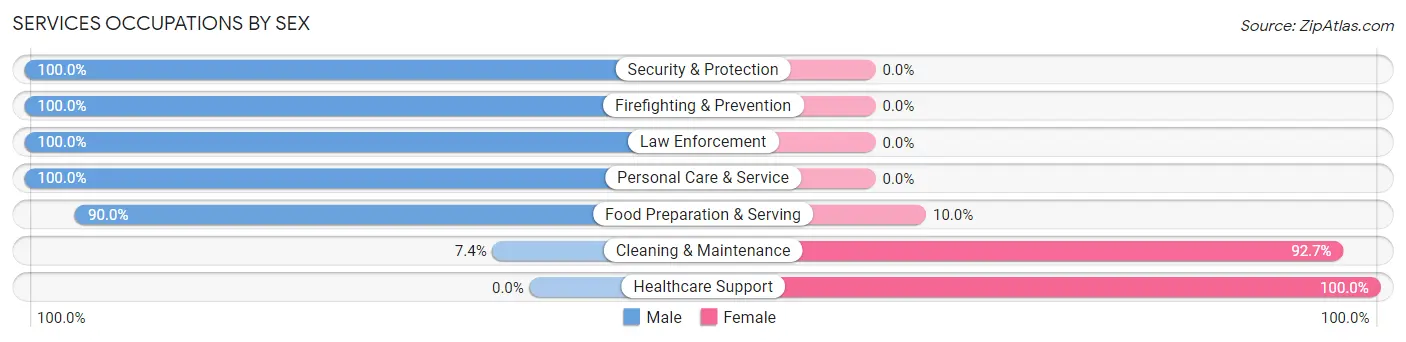 Services Occupations by Sex in Paintsville