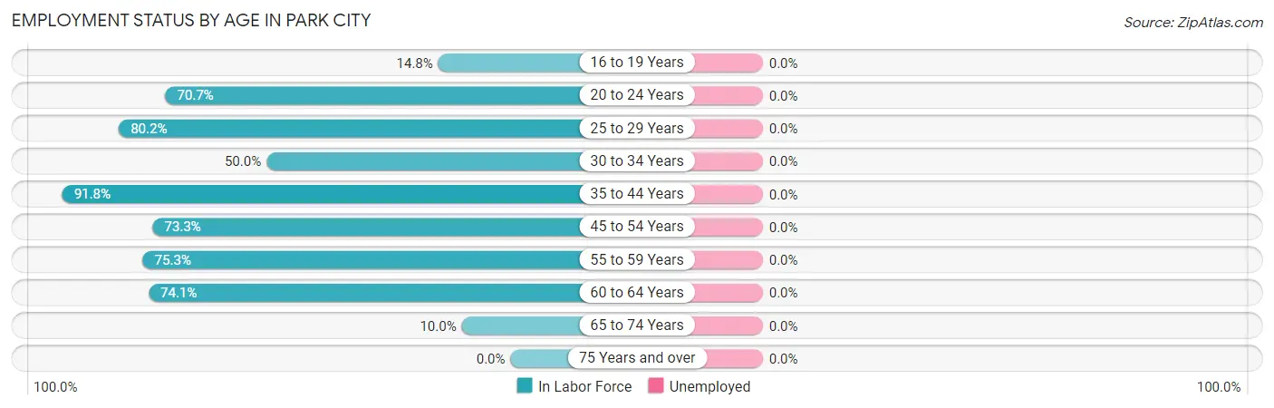 Employment Status by Age in Park City