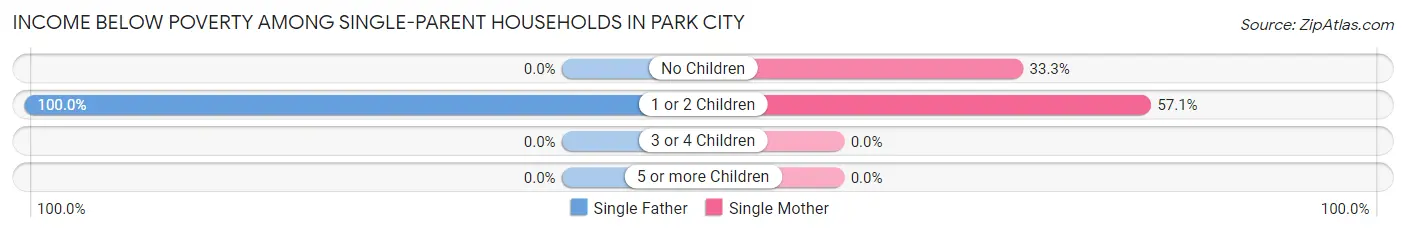 Income Below Poverty Among Single-Parent Households in Park City