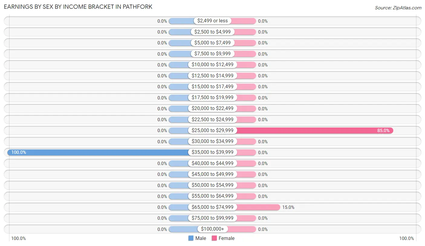 Earnings by Sex by Income Bracket in Pathfork