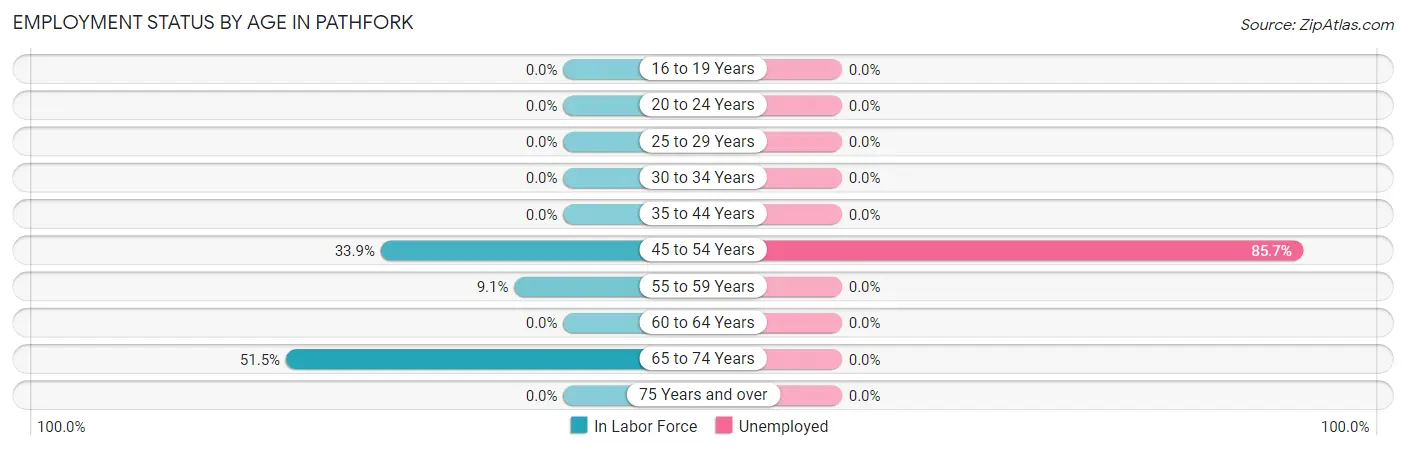 Employment Status by Age in Pathfork