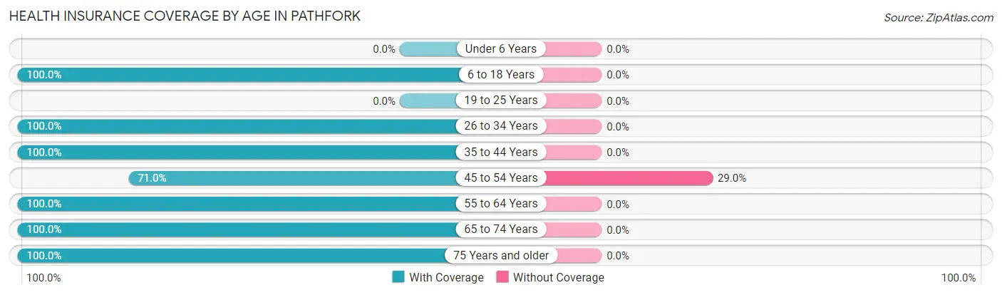 Health Insurance Coverage by Age in Pathfork