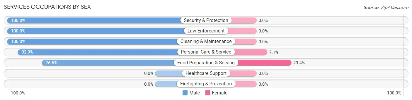 Services Occupations by Sex in Perryville