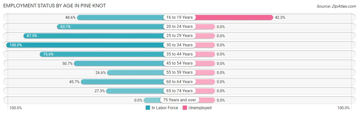 Employment Status by Age in Pine Knot
