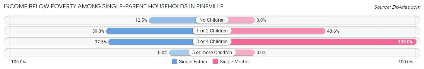 Income Below Poverty Among Single-Parent Households in Pineville