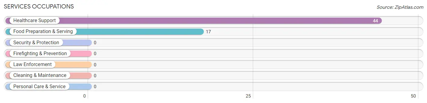 Services Occupations in Plano