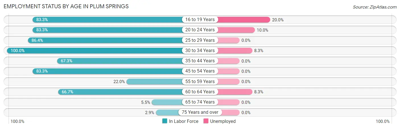 Employment Status by Age in Plum Springs