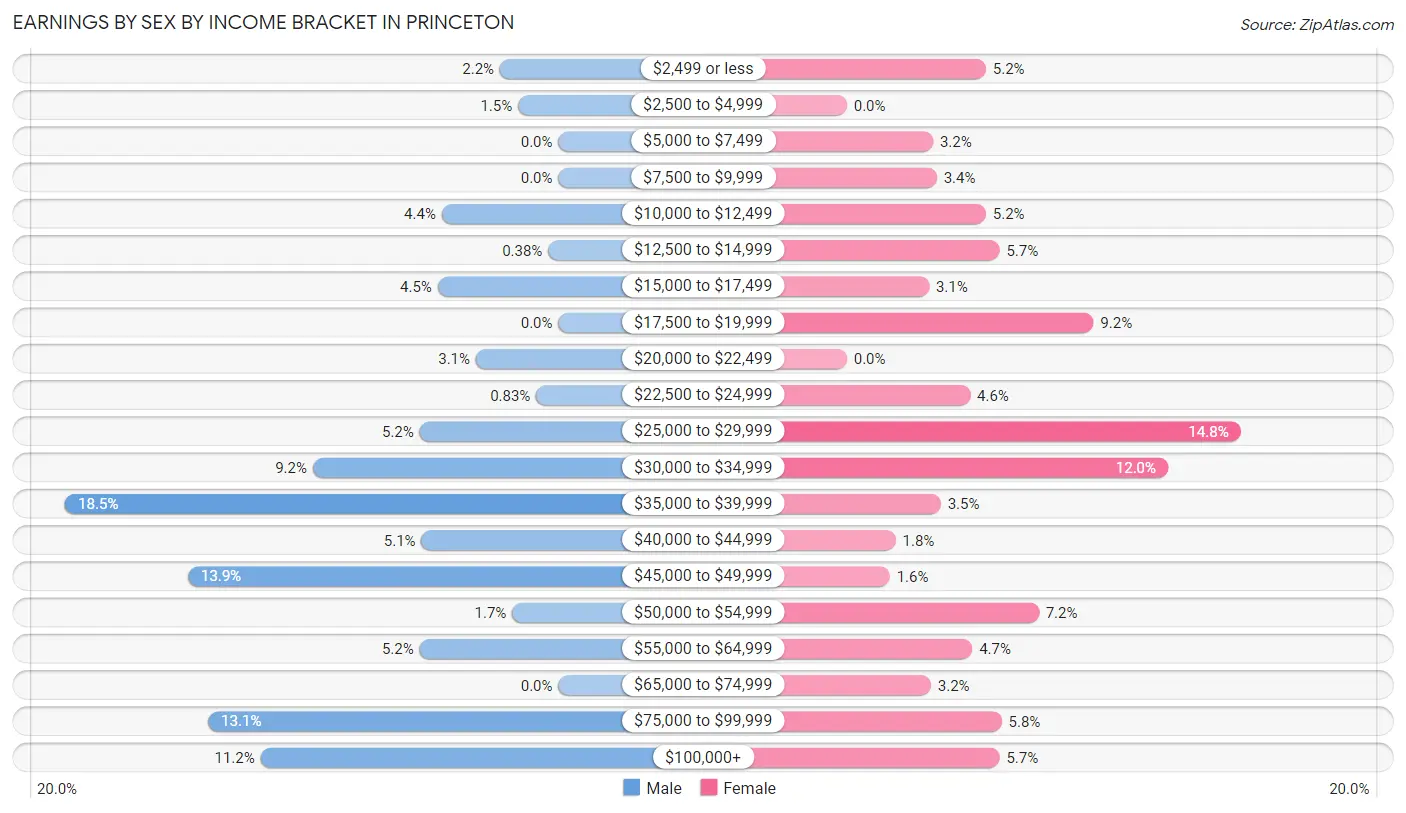 Earnings by Sex by Income Bracket in Princeton