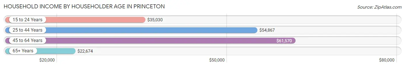 Household Income by Householder Age in Princeton