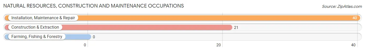 Natural Resources, Construction and Maintenance Occupations in Raceland