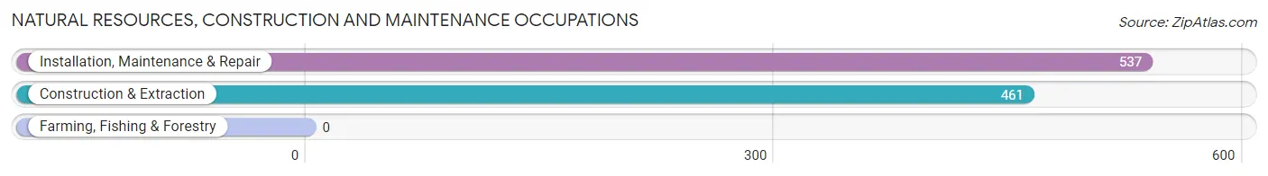 Natural Resources, Construction and Maintenance Occupations in Richmond