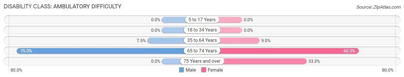 Disability in Rineyville: <span>Ambulatory Difficulty</span>