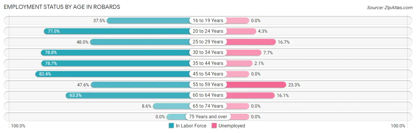 Employment Status by Age in Robards