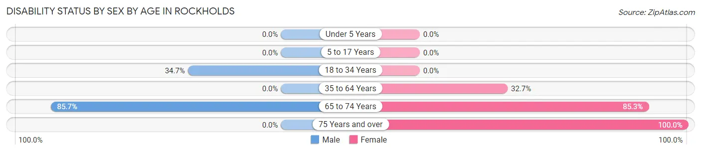 Disability Status by Sex by Age in Rockholds
