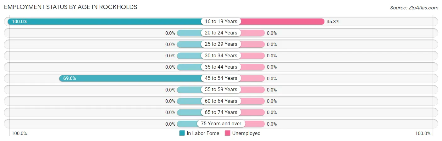 Employment Status by Age in Rockholds