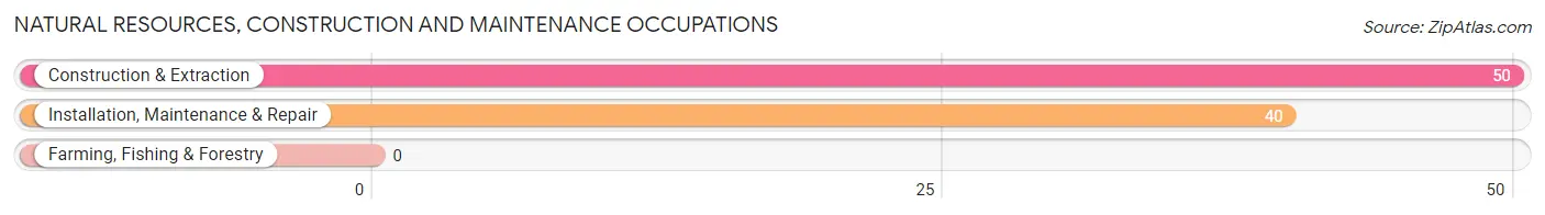 Natural Resources, Construction and Maintenance Occupations in Russell